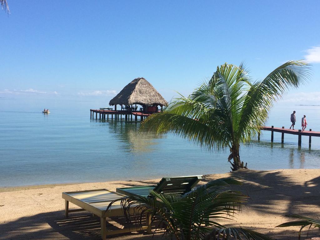 Robert'S Grove Beach Resort Placencia ภายนอก รูปภาพ