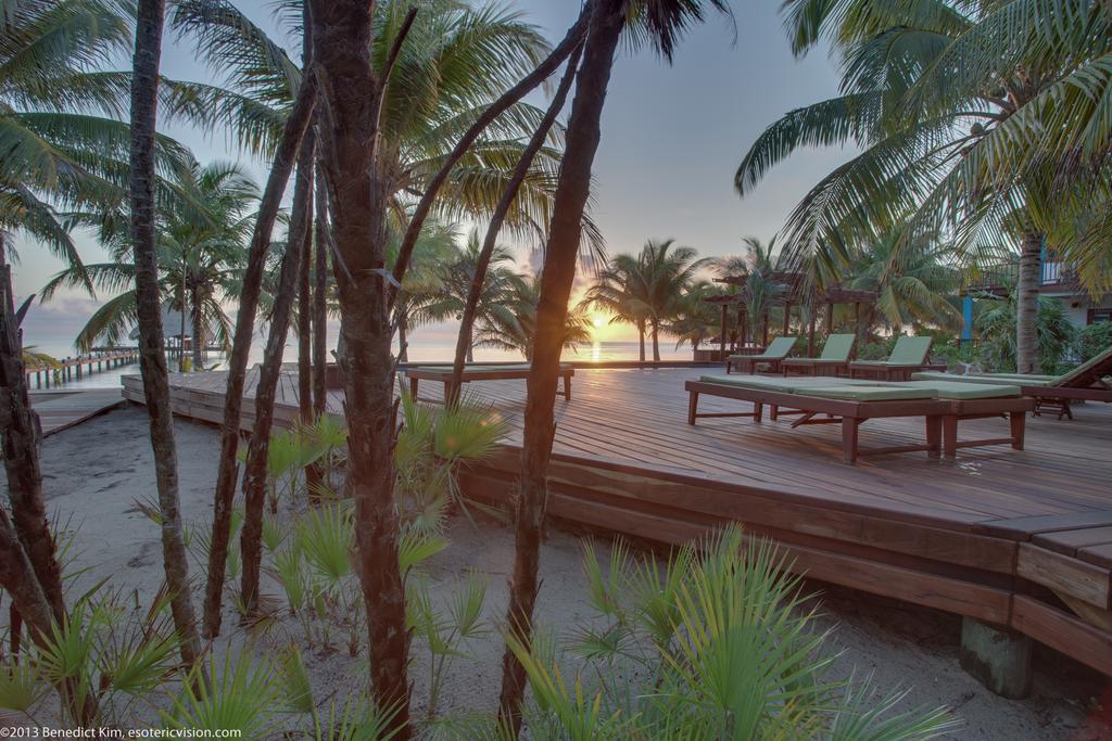 Robert'S Grove Beach Resort Placencia ภายนอก รูปภาพ